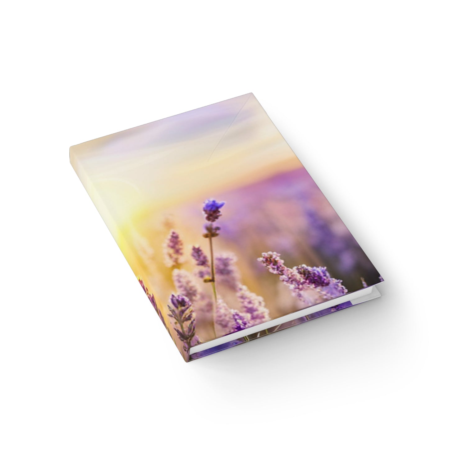 "Dawning Lavender" Blank Journal - Sunrise Over Purple Lavender Blossoms Hardcover Blank Journal/Text Book