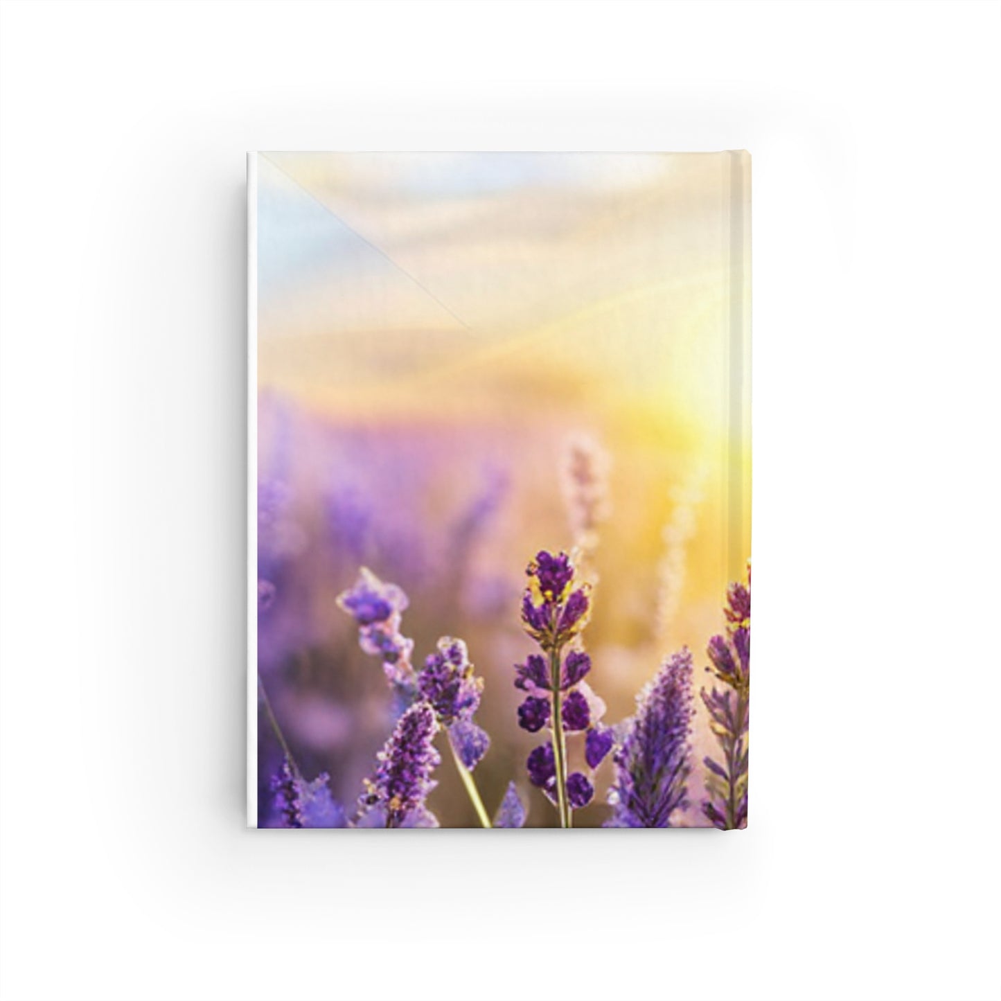 "Dawning Lavender" Blank Journal - Sunrise Over Purple Lavender Blossoms Hardcover Blank Journal/Text Book